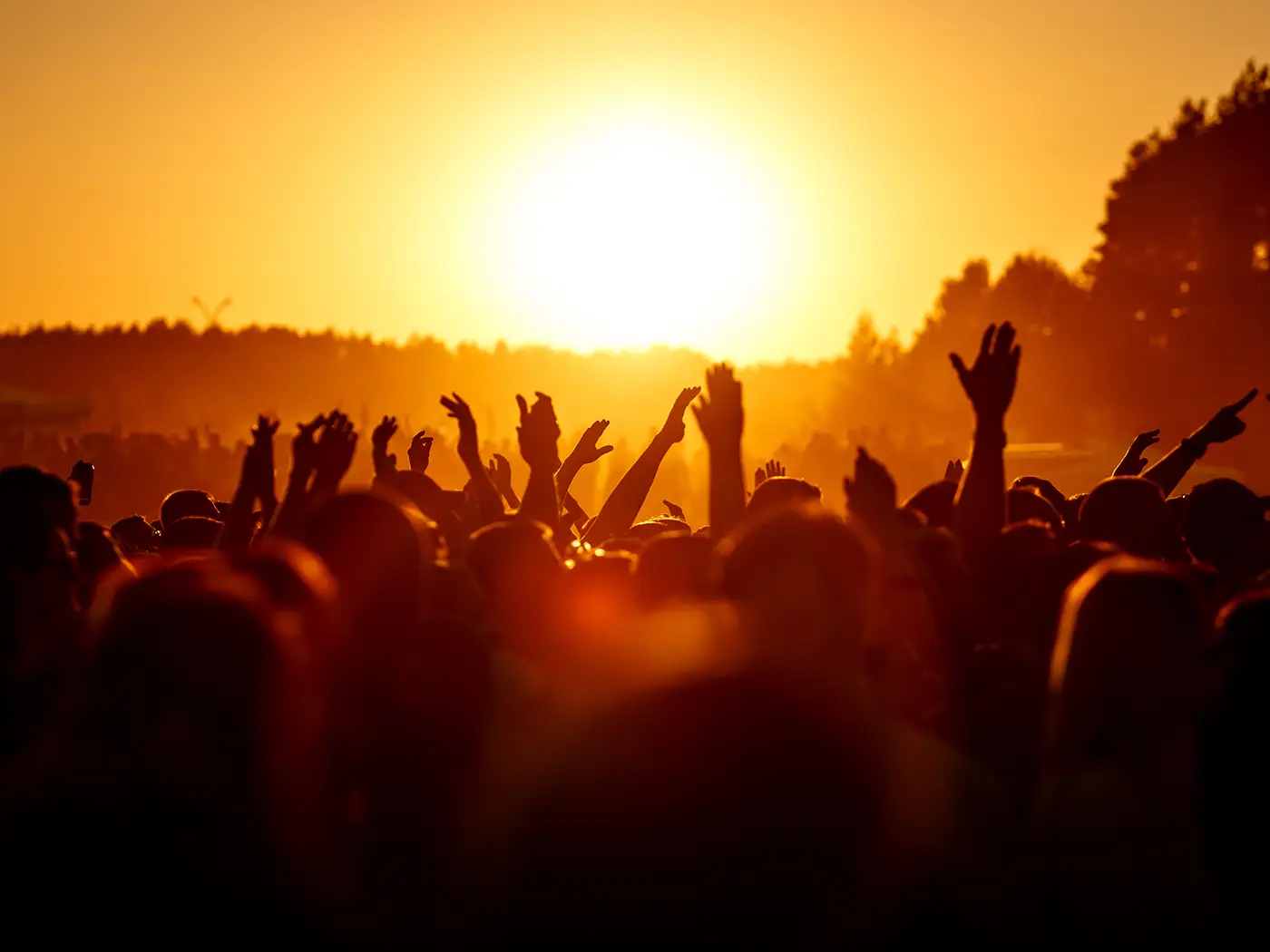 concert-fmw
