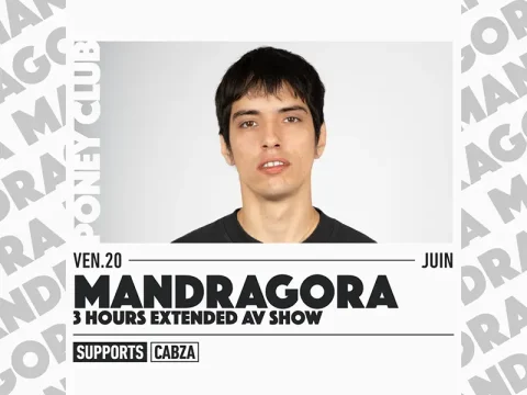 Mandragora